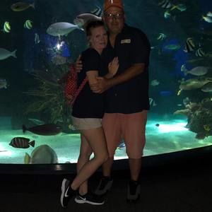 Meet your Posher, Benjamin